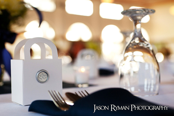 Weddings and Engagements by Jason Ryman